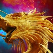 gold-dragon