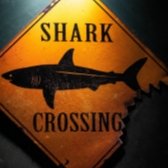 shark-sign