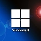 Windows 11