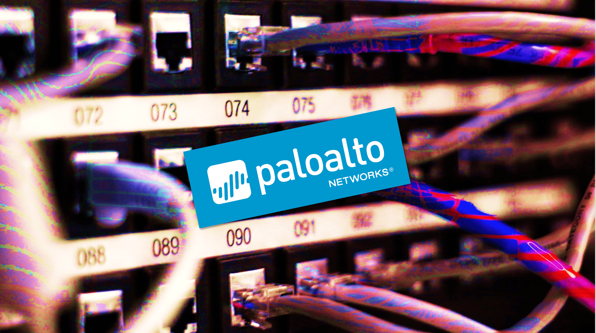 palo alto ağları