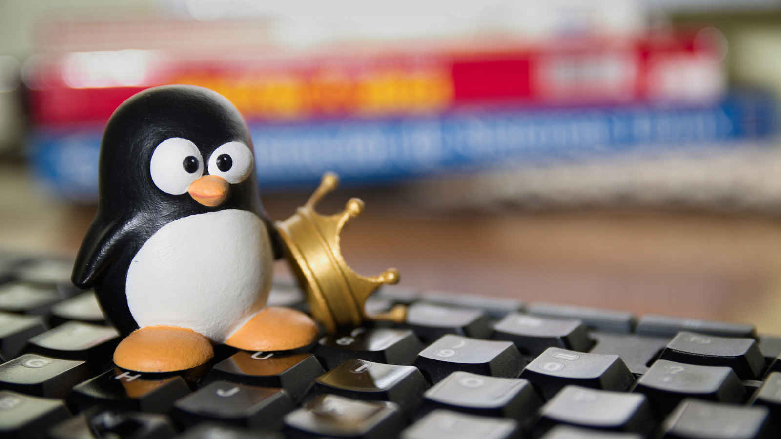 Linux Tux sitting on a keyboard