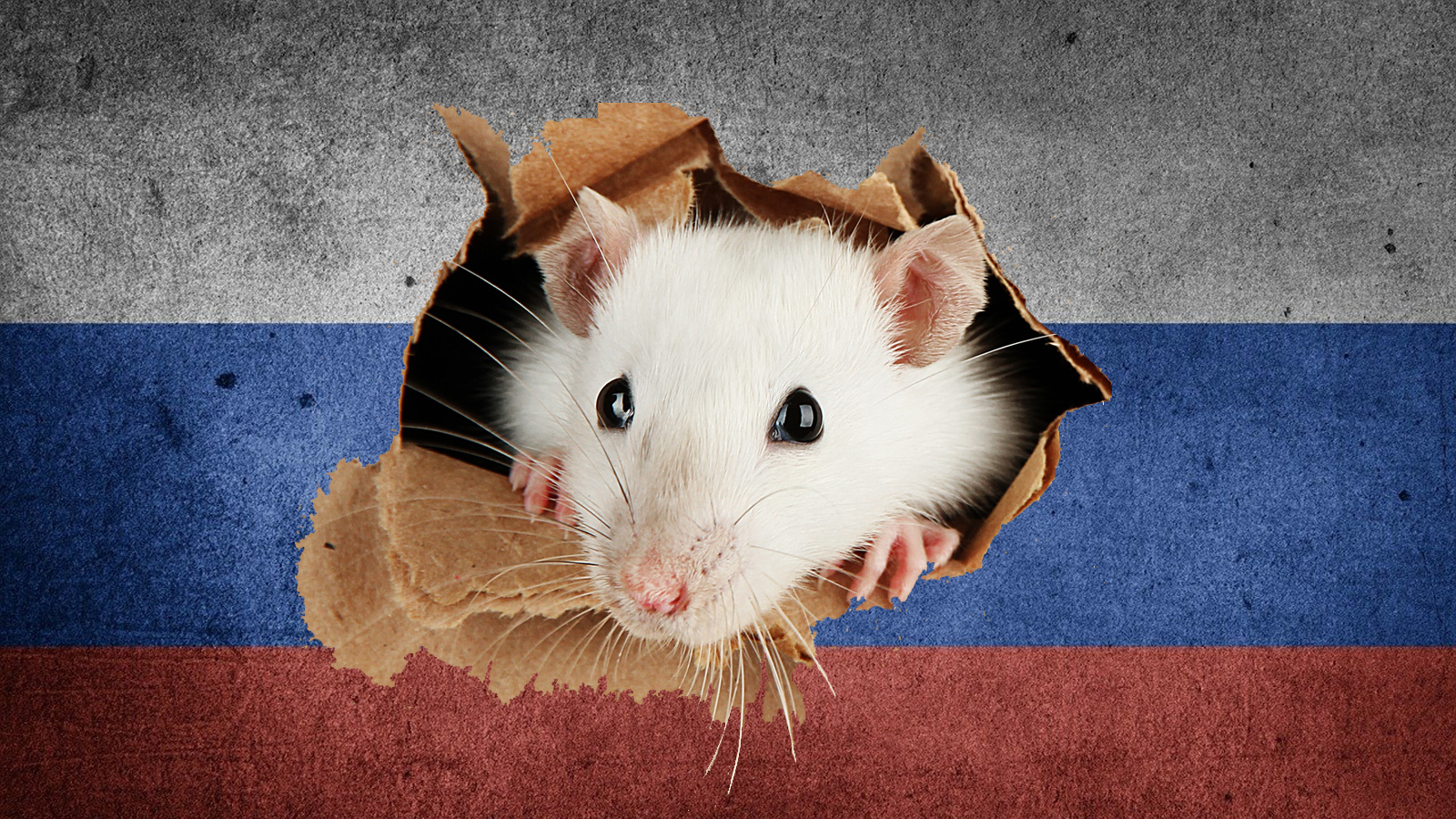 Russie RAT