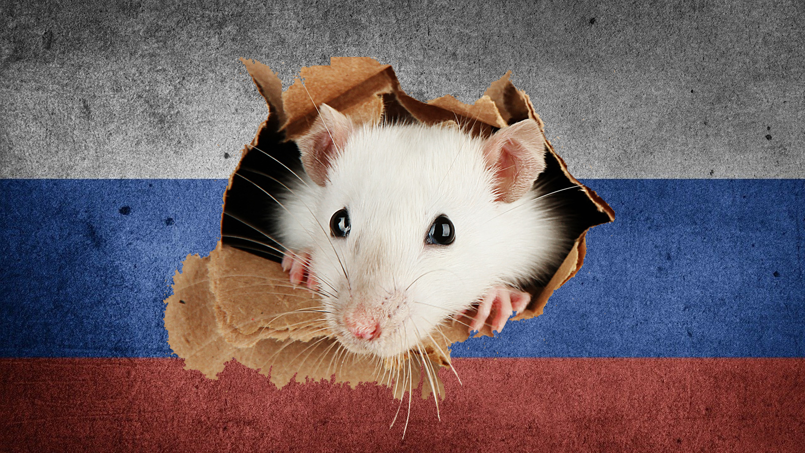 Russia RAT