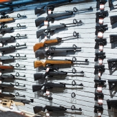 Gun Shop
