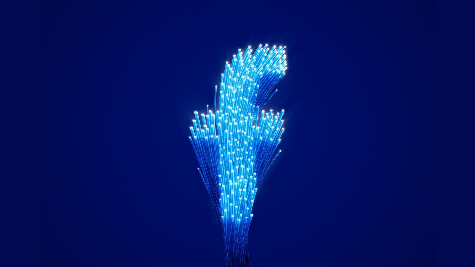 Have issues with Facebook collecting your data? Privacy-first alternative MeWe surges to 9M users