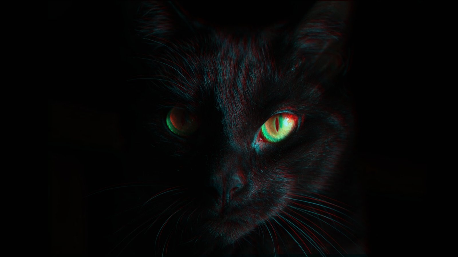 BlackCat ransomware shuts down in exit scam, blames the "feds"