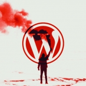 WordPress