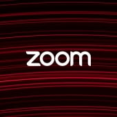 Zoom