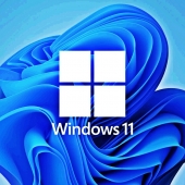 Windows 11