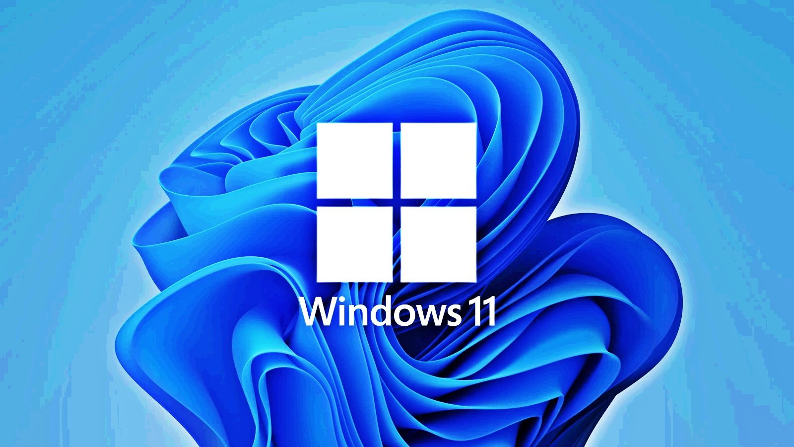 Windows 11