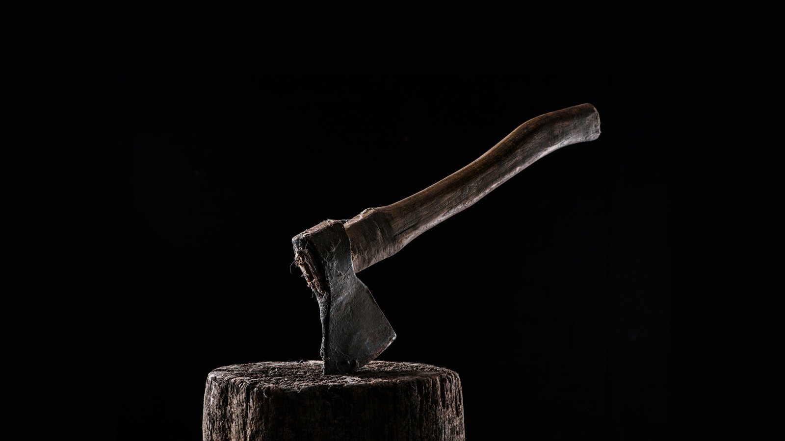 Axe in a tree stump