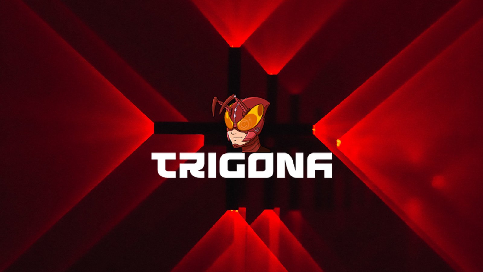 Trigona