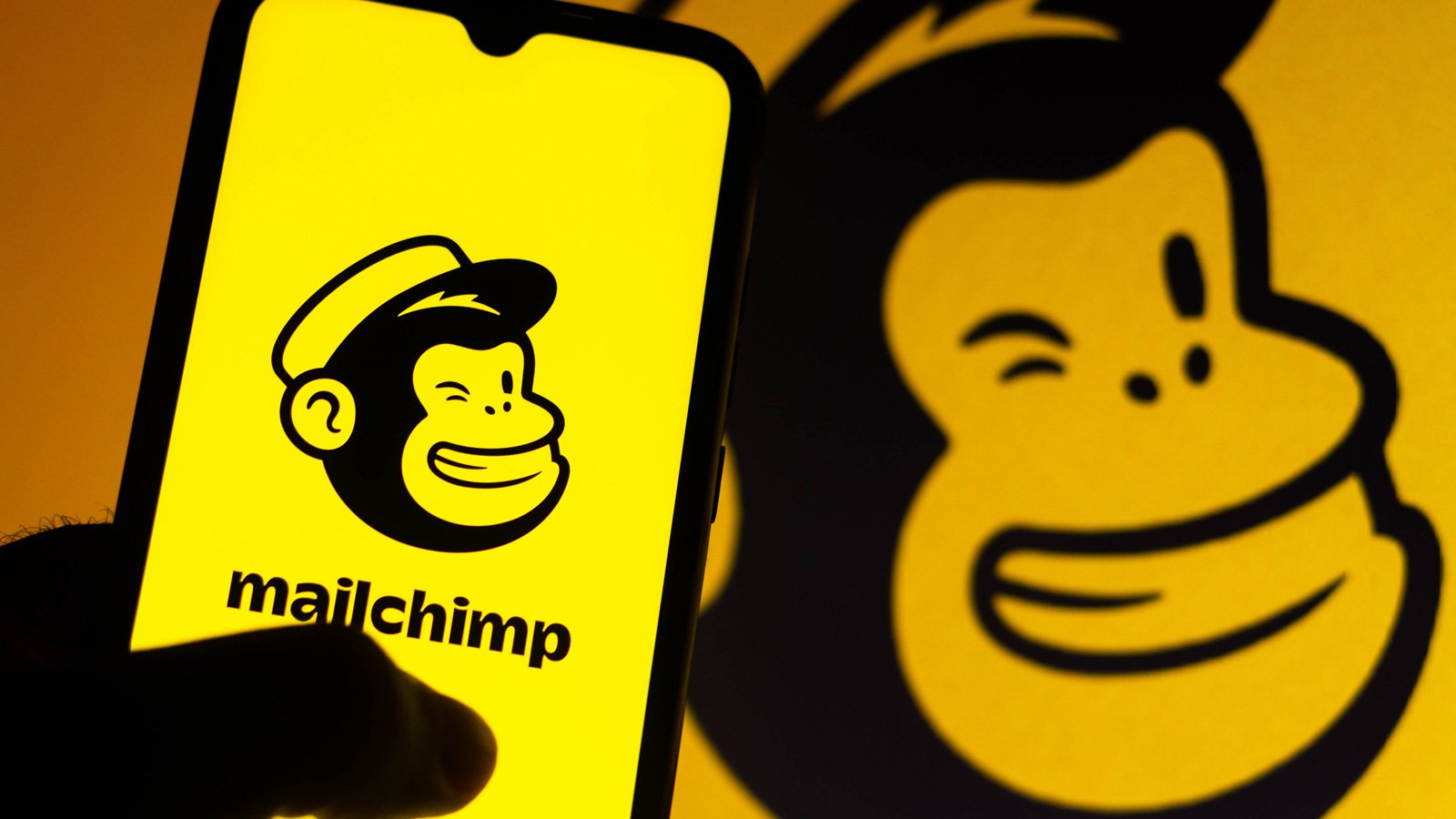 MailChimp logo on a mobile phone