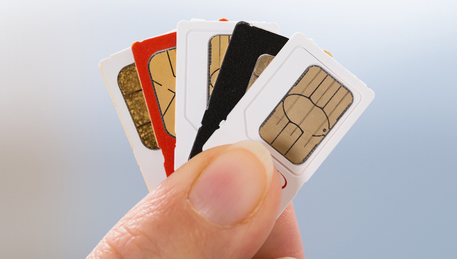 Person holding SIM cards