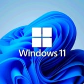 Windows 11