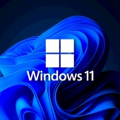 Windows 11