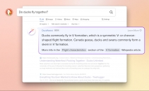 DuckDuckGo launches AI-powered search query answering tool