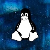 Linux tux ice