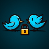 Twitter birds encryption