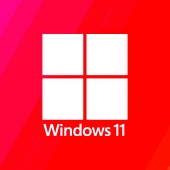 Windows 11