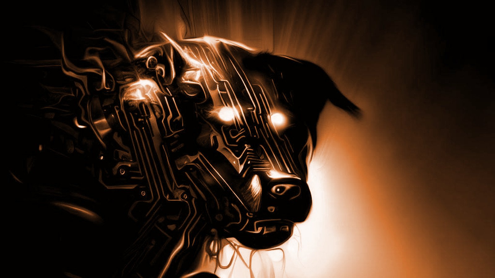 Toolkit malware Anjing Pemikat Misterius masih mengintai dalam bayang-bayang DNS