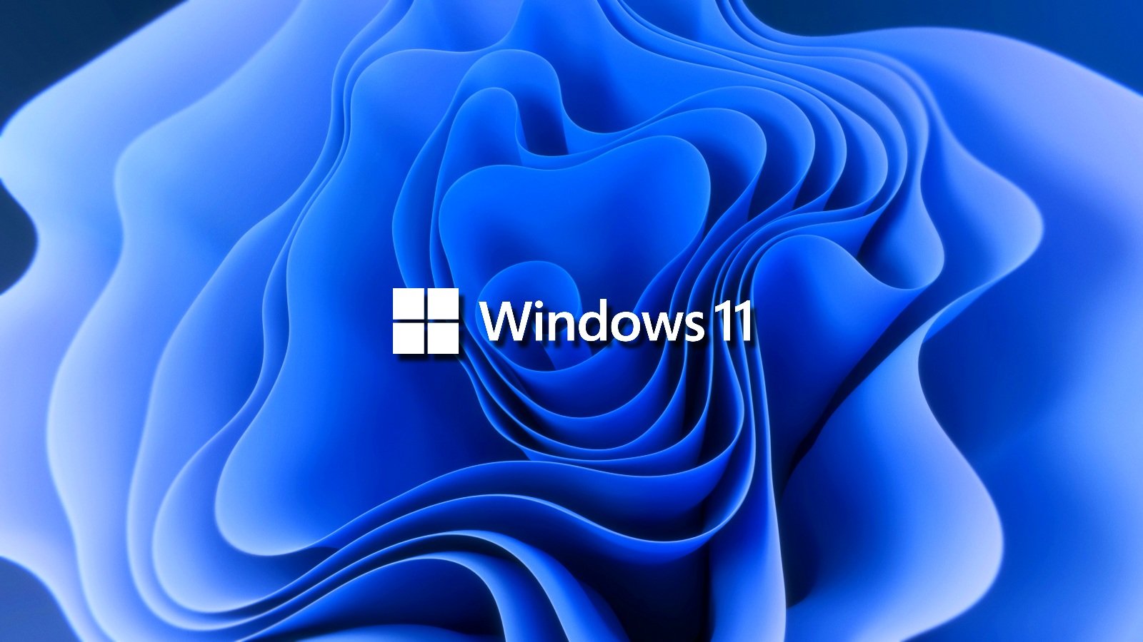 Windows 11