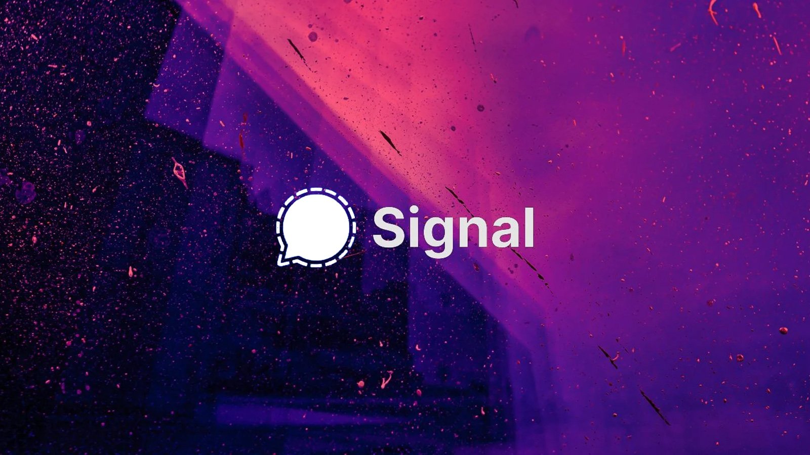 Signal lancia nomi utente che ti consentono di nascondere il tuo numero di telefono