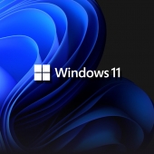 Windows 11