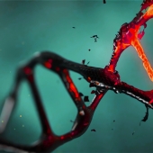 DNA