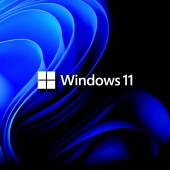 Windows 11