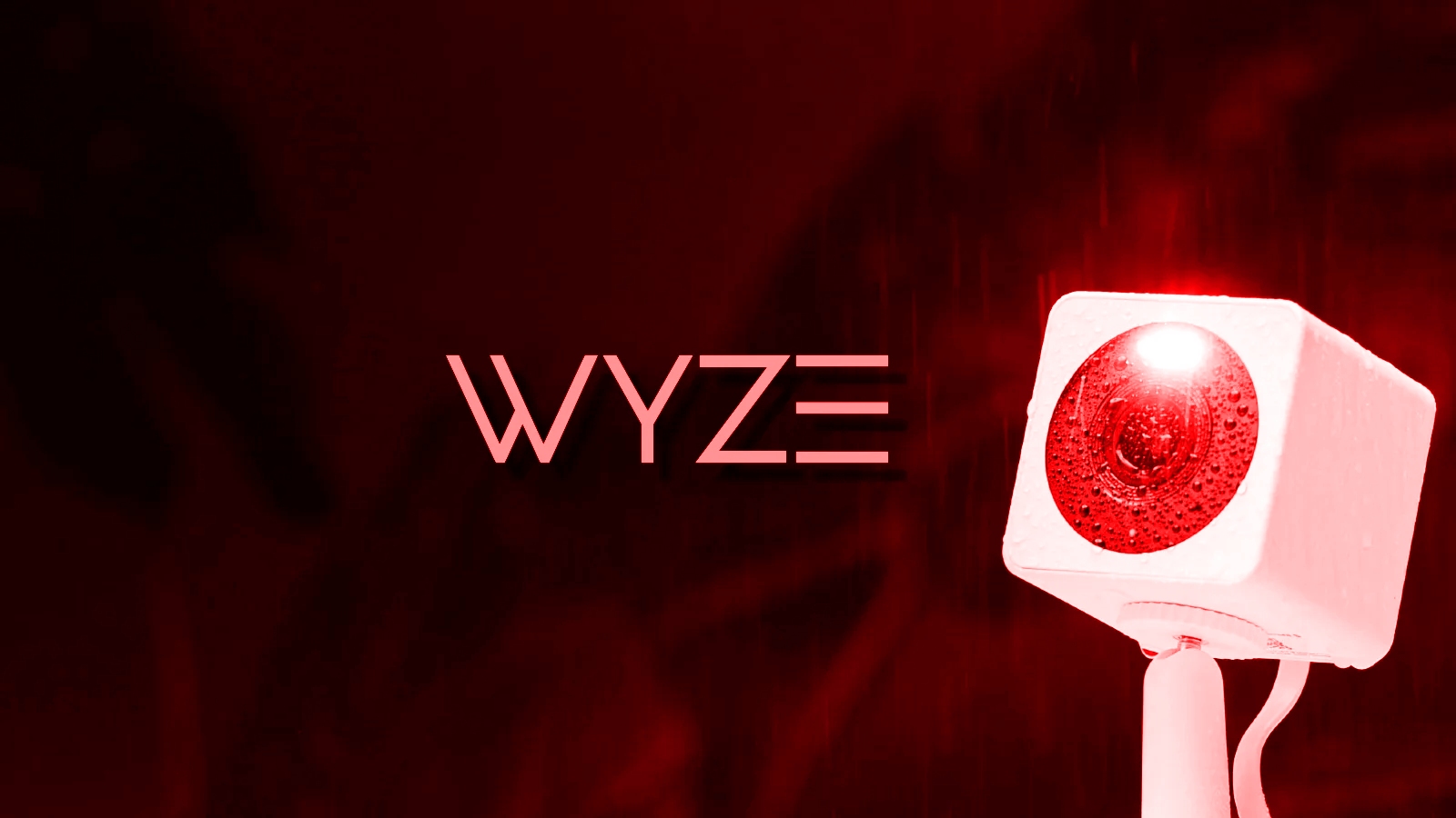 Wyze