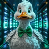 DuckDuckGo