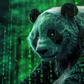 Kryptonite Panda
