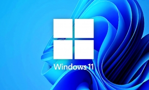 Windows 11