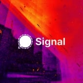 Signal