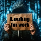 Hacker job seeker