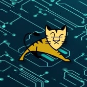 Apache Tomcat