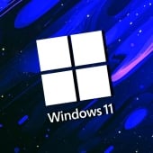 Windows 11
