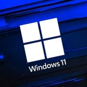 Windows 11