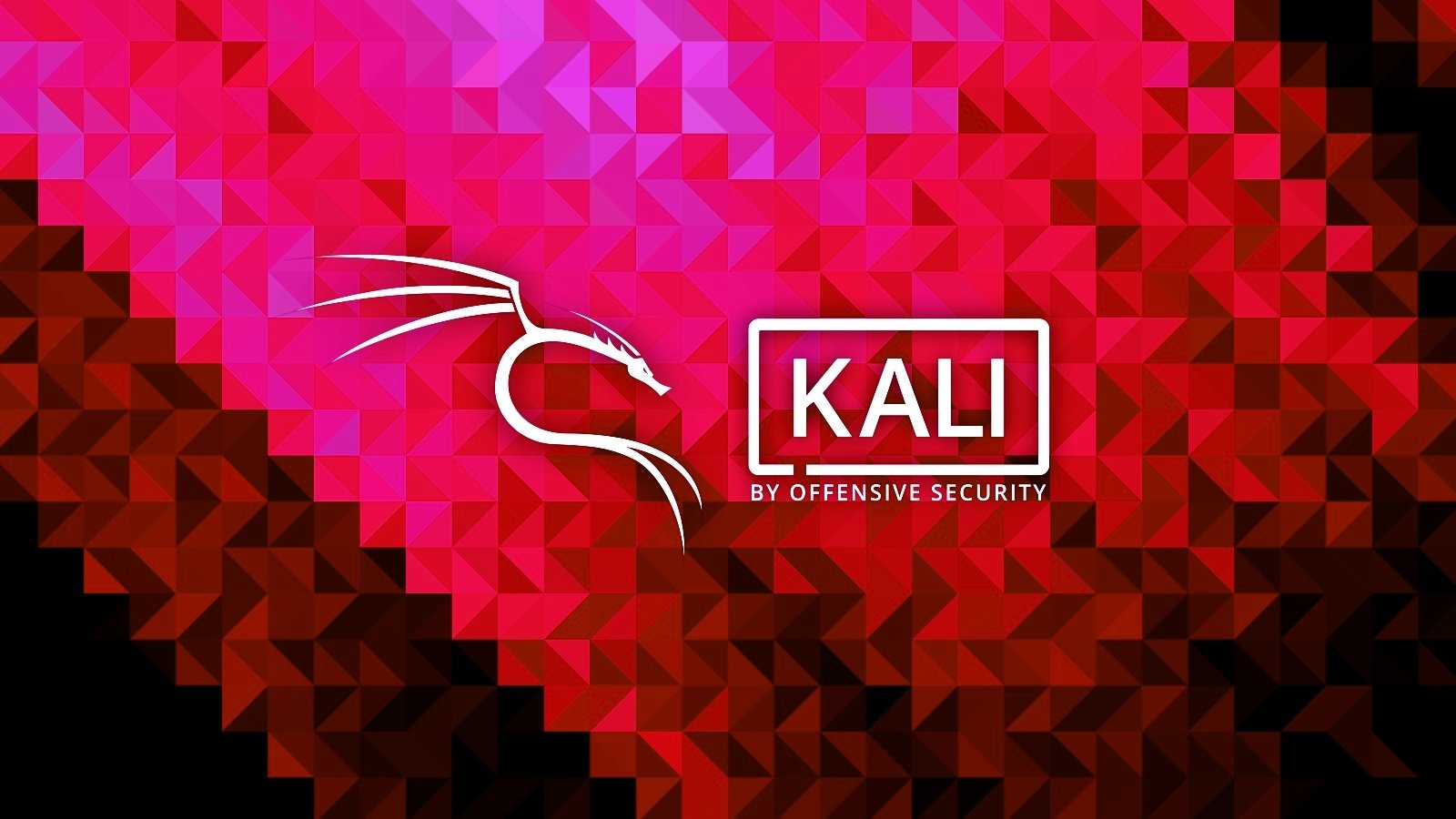 Kali Linux warns of update failures after losing repo signing key