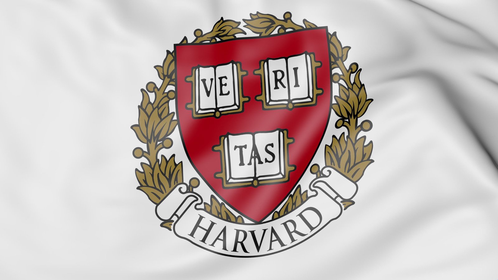 Harvard bayrağı