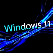 Windows 11