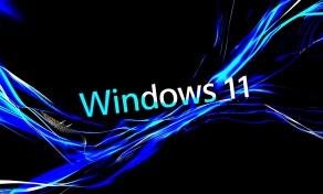 Windows 11
