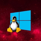 Windows Subsystem for Linux WSL