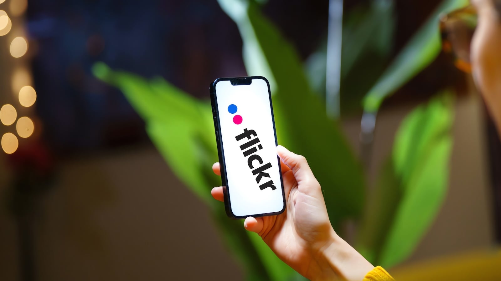 Cyber: Flickr Discloses Potential Data Breach Exposing Users' Names, Emails
