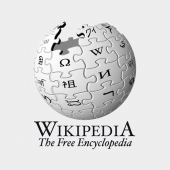Wikipedia hit by self-propagating JavaScript worm that vandalized pages Image
