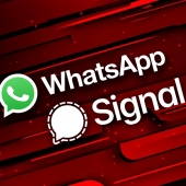 Signal WhatsApp
