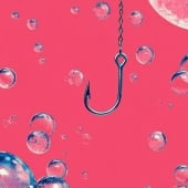 Phishing Bubble