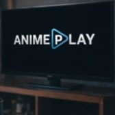 Animeplay piracy