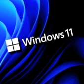 Windows 11